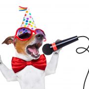 happy new year dog singing