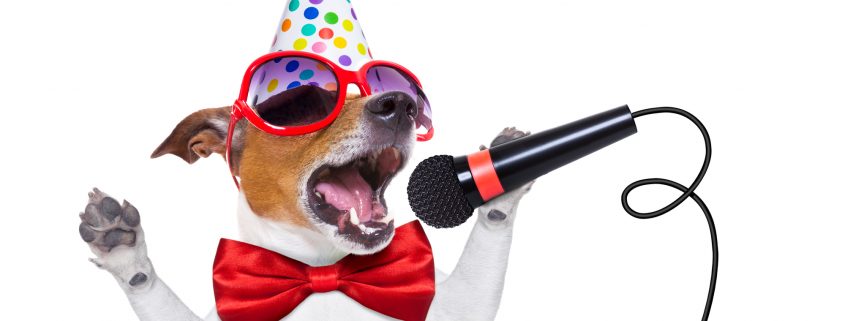 happy new year dog singing